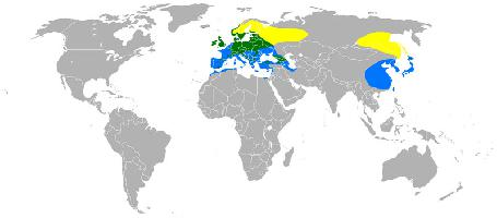 Photo: Eurasian siskin - occurrence