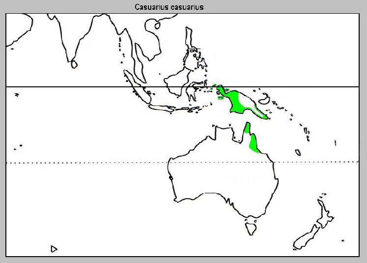 Photo: Southern cassowary - occurrence